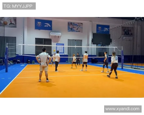 重庆排球队灵活性分析与发展探讨聚焦排球运动的多样化与创新能力 重庆排球队灵活性分析与发展探讨聚焦排球运动的多样化与创新能力