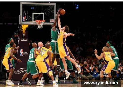 09和10赛季NBA总决赛：勇士与湖人的辉煌对决