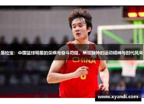 易拉宝：中国篮球明星的荣耀与奋斗历程，展现独特的运动精神与时代风采