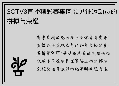 SCTV3直播精彩赛事回顾见证运动员的拼搏与荣耀